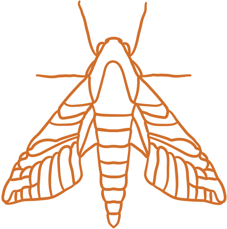 Art for Art's Sake: Artist Stories From Sfingiday's Local Art Program